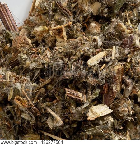 Detailed And Large Close Up Shot Of Mugwort Spice.