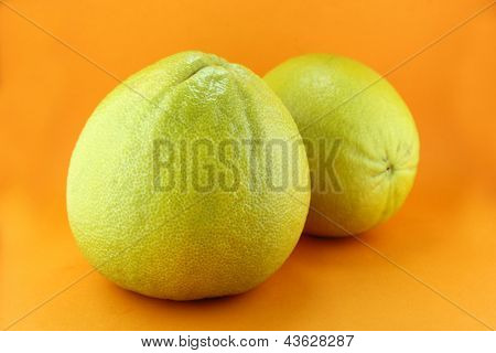 Bergamot