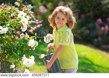 Active Kid Watering Plants On Backyard. Child Helping Arents To Grow Herbs And Flowers. Ecology Conc