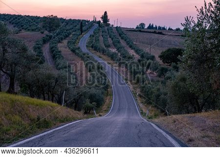Beautiful Cypress-lined Road In The Light Of The Setting Sun, Curved Road In The Hills Of Toscane, T