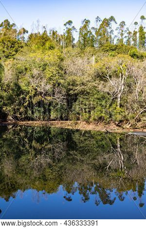 Capela Do Rosario Dam With Cadeia River And Forest