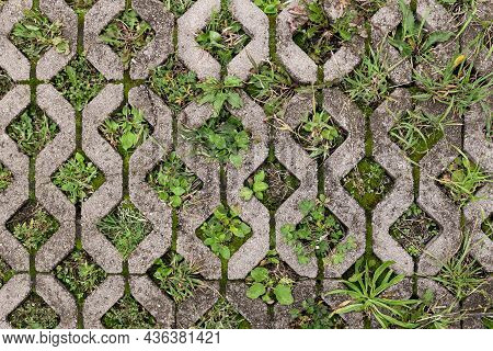 Textured Paving Slabs For Car Parking. Top View.