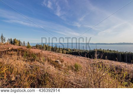Clear Cut Forest At Juan De Fuca Strait On Vancouver Island British Columbia, Canada