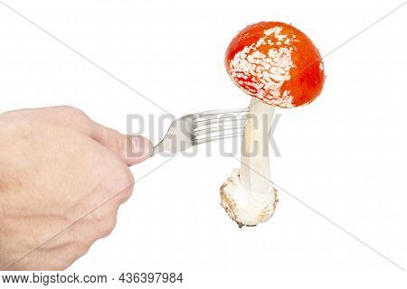 A Man Holds In His Hand A Fork With A Red Fly Agaric (amanita Muscaria) On A White Background. The C