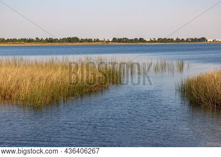 Lake With Vegetation And Sand