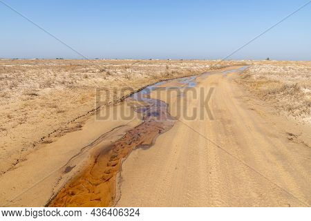 Road In The Dunes And Vegetation