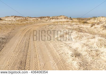 Road In The Dunes And Vegetation
