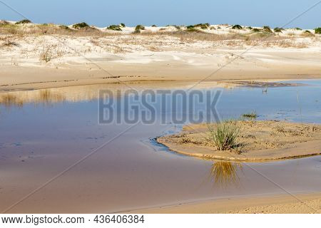 Vegetation With Sand And Lake