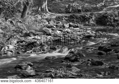 Horner Woods In Somerset