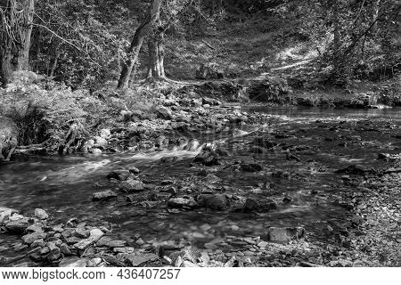 Horner Woods In Somerset