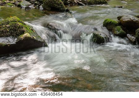 Horner Woods In Somerset