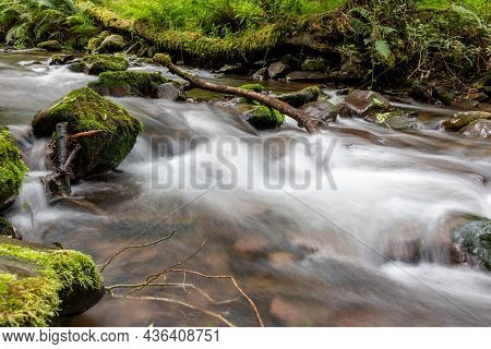 Horner Woods In Somerset