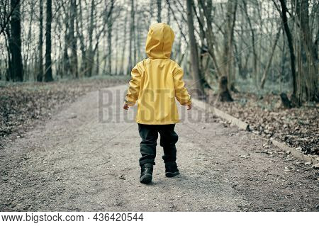 Small Child In A Yellow Raincoat With A Hood Is Walking In The Dark Scary Forest. The Concept Of Los