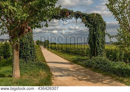 View From The Floersheimer Viewpoint On Frankfurt And The Rhein Main Plain, Germany