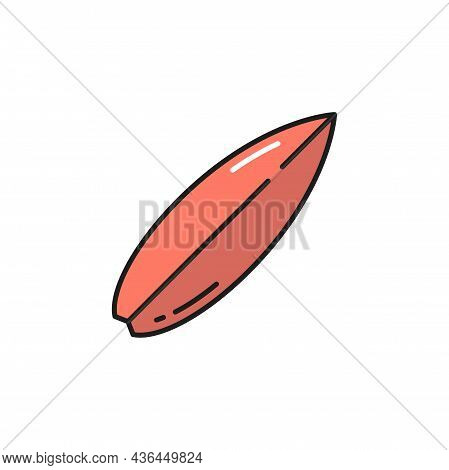 Surfing Activity Equipment, Shortboard Or Longboard Isolated Red Portuguese I Funboard. Vector Woode