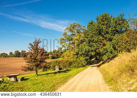 Landscape With Path And Trees Near Hohen Demzin, Germany.