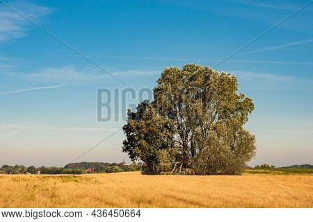 Landscape With Field And Trees Near Hohen Demzin, Germany.