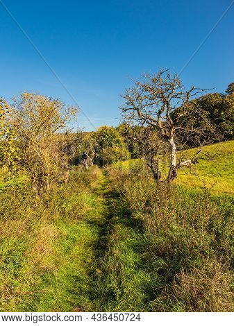 Landscape With Path And Trees Near Hohen Demzin, Germany.