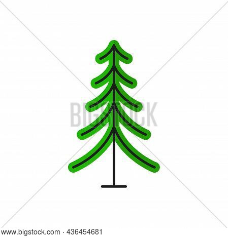 Evergreen Pine Tree Isolated Thin Line Icon. Vector Emerald Spruce, Undecorated Christmas Holidays S