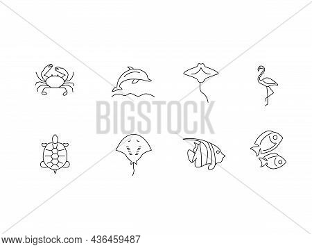 Marine Life Outline Icons Set. Turtle, Dolphin. Stingray And Crab. Fish And Flamingos. Customizable 