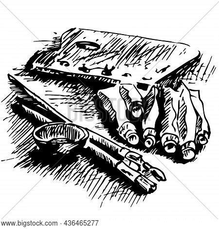 Vector Realistic Ink Sketch Black Still Life