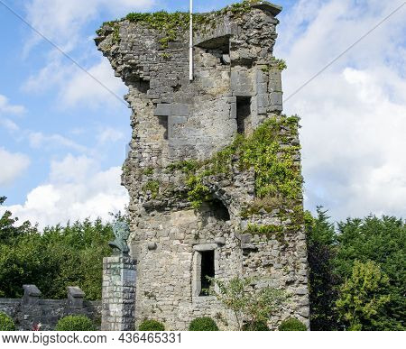 There Are 32 Cylindrical Tower Houses In Ireland. This Is One Of Thirteen Built In Tipperary. This L
