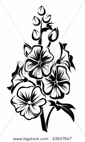 Zwart silhouet van kaasjeskruid bloemen. Vectorillustratie.