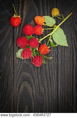 Ripe Red Fresh Raspberries With Leaves Lie On A Dark Vintage Table After Harvest. Free Ad Space