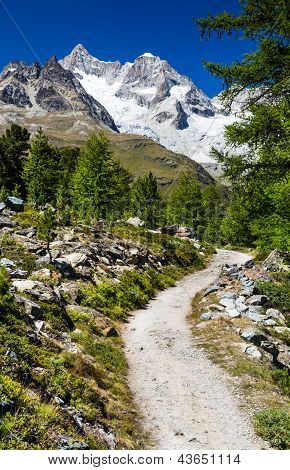 Vandringsled i Schweiz Alperna