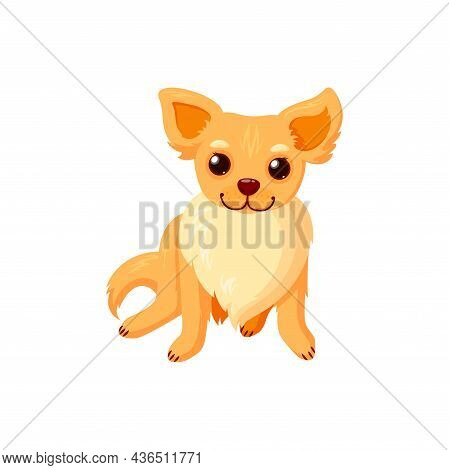 Sitting Chihuahua Pet. Purebreed Dog Companion Isolated In White Background. Vector Illustration In 