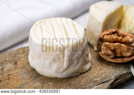Cheese Collection, Soft Goat French Cheese With Mold Crottin De Chavignol Produced In Loire Valley
