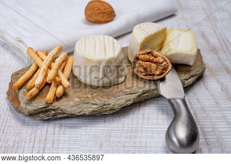 Cheese Collection, Soft Goat French Cheese With Mold Crottin De Chavignol Produced In Loire Valley