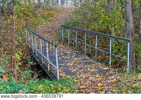Forest Trail With Footbridge Through Autumn Forest