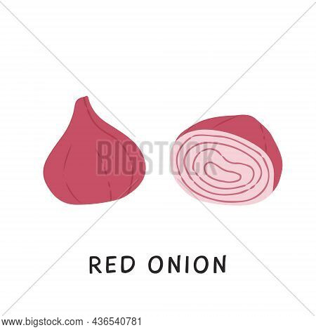 Flat Style Elements Of Cut And Whole Red Onion. Fresh Organic Ripe Raw Vegetable Or Gathered Crop Is