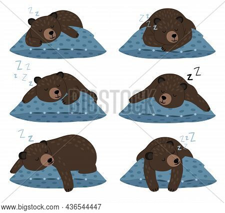 Lazy Bear Sleep. Sleeping Cute Teddy Character Poses On Pillow, Quiet Winter Rest, Fat Animal Lazine