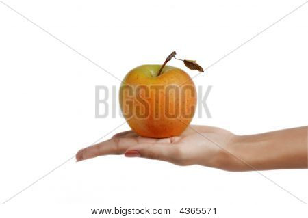 Apple v ruce