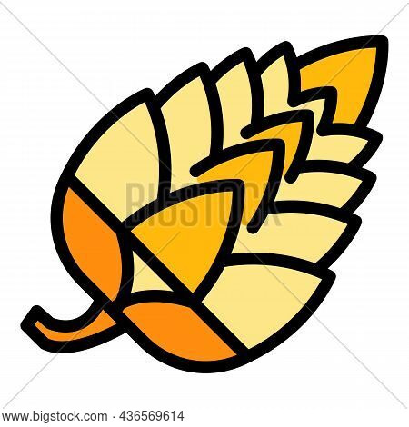 Dry Fir Cone Icon. Outline Dry Fir Cone Vector Icon Color Flat Isolated