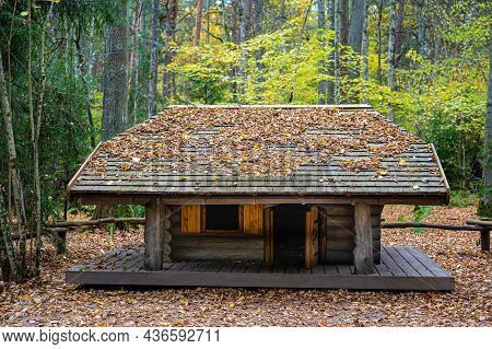 Little Mystic Wooden Log House In The Autumn Forest, Tervete, Latvia