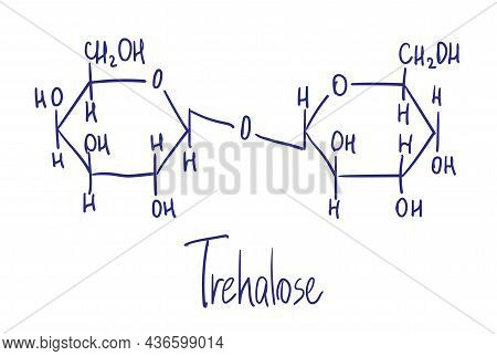 Trehalose. It Is Also Known As Mycose Or Tremalose. Chemical Structure. Vector Illustration Hand Dra
