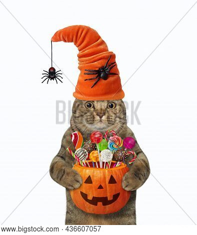 A Beige Cat In A Hat With Spiders Holds A Pumpkin Bucket With Sweets For Halloween. White Background