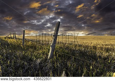 A Barbed Wire Fence On A Wheat Field On The Canadian Prairies In Wheatland County Alberta.