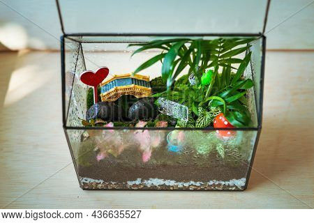 Small Decoration Plants In A Glass Garden Terrarium Forest. Terrarium House With Piece Of Forest Wit