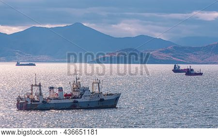 Fishing Seiners And Cargo Ships In Avacha Bay In Kamchatka Peninsula