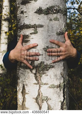 A Man Hugs A Tree With Love, Receives Energy From A Tree