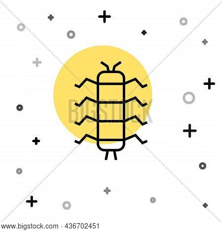 Black Line Centipede Insect Icon Isolated On White Background. Random Dynamic Shapes. Vector