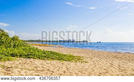 Tropical Mexican Beach With Palm Trees Playa Del Carmen Mexico.
