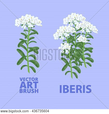 A Ready-made Iberis Art Brush For Painting A Landscape. Vector Illustration.