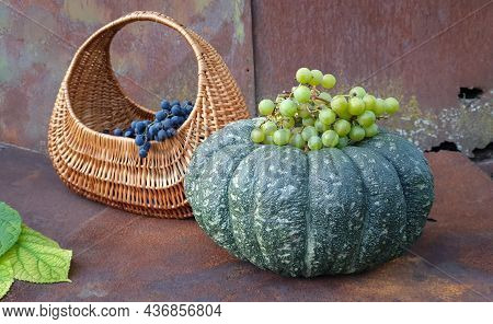 Green Pumpkin And A Basket Of Grapes On The Background Of An Old, Rusty Metal Sheet