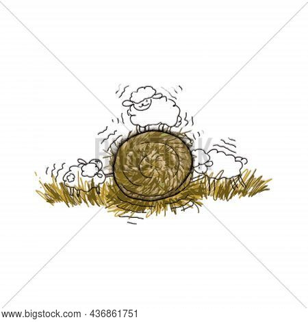 Stubborn Ram On A Haystack On A White Background