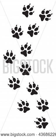 Cat Paw Print Track, Black And White Vector Illustration